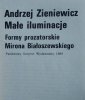 Andrzej Zieniewicz • Małe iluminacje. Formy prozatorskie Mirona Białoszewskiego 